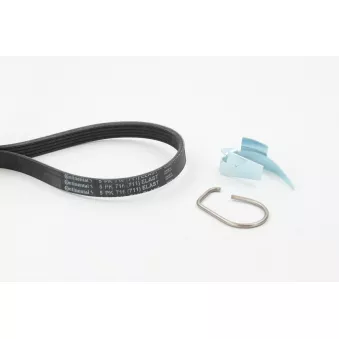 Jeu de courroies trapézoïdales à nervures CONTITECH 5PK716 ELAST T1