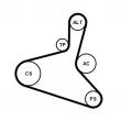 Jeu de courroies trapézoïdales à nervures CONTITECH 6DPK1195K1 - Visuel 2
