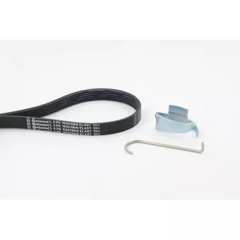 Jeu de courroies trapézoïdales à nervures CONTITECH 6PK1029 ELAST T1