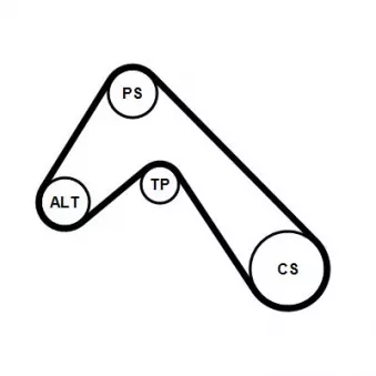 Jeu de courroies trapézoïdales à nervures CONTITECH 6PK1038K2