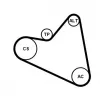 Jeu de courroies trapézoïdales à nervures CONTITECH 6PK1090 ELAST K1 - Visuel 1
