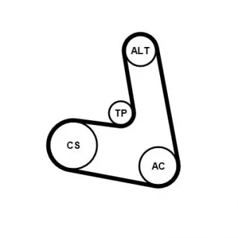 Jeu de courroies trapézoïdales à nervures CONTITECH