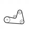 Jeu de courroies trapézoïdales à nervures CONTITECH 6PK1200K2 - Visuel 2