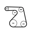 Jeu de courroies trapézoïdales à nervures CONTITECH 6PK1217K2 - Visuel 2