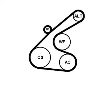 Jeu de courroies trapézoïdales à nervures CONTITECH 6PK1256K1