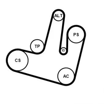 Jeu de courroies trapézoïdales à nervures CONTITECH 6PK1264K1