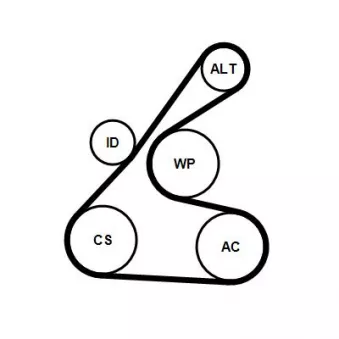 Jeu de courroies trapézoïdales à nervures CONTITECH