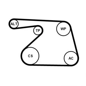 Jeu de courroies trapézoïdales à nervures CONTITECH 6PK1325K1