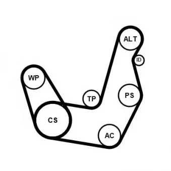Jeu de courroies trapézoïdales à nervures CONTITECH 6PK1413K1