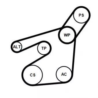 Jeu de courroies trapézoïdales à nervures CONTITECH 6PK1548K2