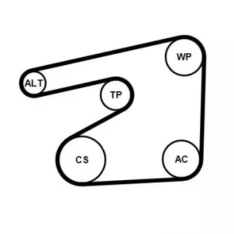 Jeu de courroies trapézoïdales à nervures CONTITECH 6PK1555K5