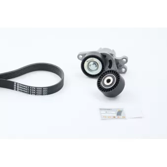 Jeu de courroies trapézoïdales à nervures CONTITECH 6PK1560K1