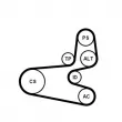 Jeu de courroies trapézoïdales à nervures CONTITECH 6PK1560K1 - Visuel 2