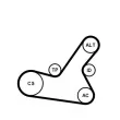 Jeu de courroies trapézoïdales à nervures CONTITECH 6PK1564K2 - Visuel 2