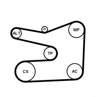 Jeu de courroies trapézoïdales à nervures CONTITECH 6PK1635K1