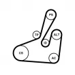 Jeu de courroies trapézoïdales à nervures CONTITECH 6PK1710K2 - Visuel 2