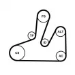 Jeu de courroies trapézoïdales à nervures CONTITECH 6PK1740K4 - Visuel 2