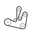 Jeu de courroies trapézoïdales à nervures CONTITECH 6PK1750K2 - Visuel 2