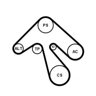 Jeu de courroies trapézoïdales à nervures CONTITECH 6PK1836K2