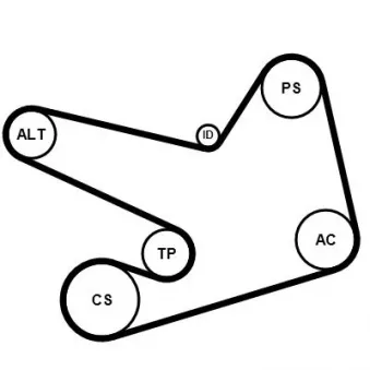 Jeu de courroies trapézoïdales à nervures CONTITECH 6PK1900K2