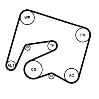 Jeu de courroies trapézoïdales à nervures CONTITECH 6PK2000K2