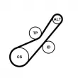 Jeu de courroies trapézoïdales à nervures CONTITECH 6PK800K1 - Visuel 2