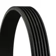 Courroie trapézoïdale à nervures CONTITECH 6PK906 - Visuel 2