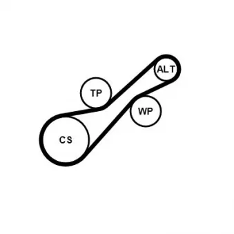 Jeu de courroies trapézoïdales à nervures CONTITECH 6PK915K1