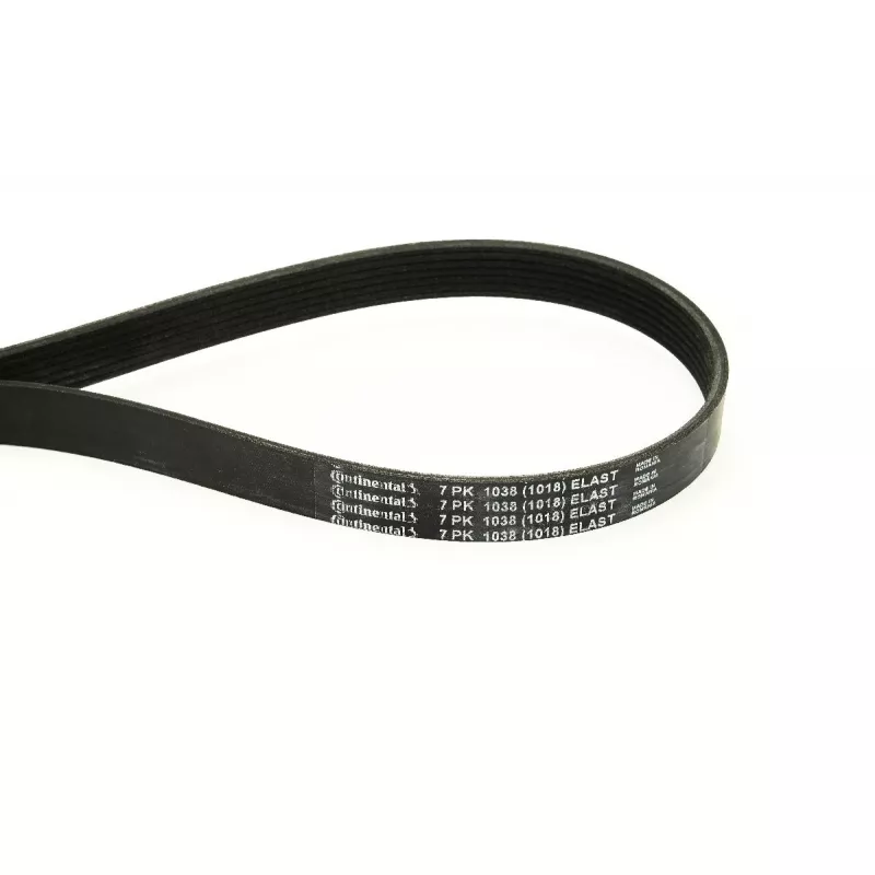 Courroie trapézoïdale à nervures CONTITECH 7PK1038 ELAST