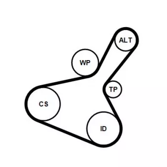 Jeu de courroies trapézoïdales à nervures CONTITECH 7PK1040K1