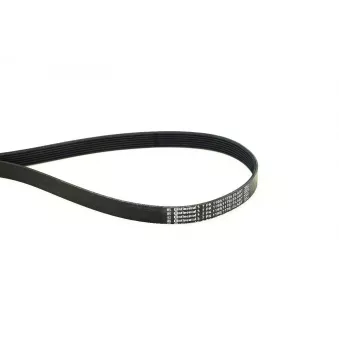 Courroie trapézoïdale à nervures CONTITECH 7PK1195 ELAST