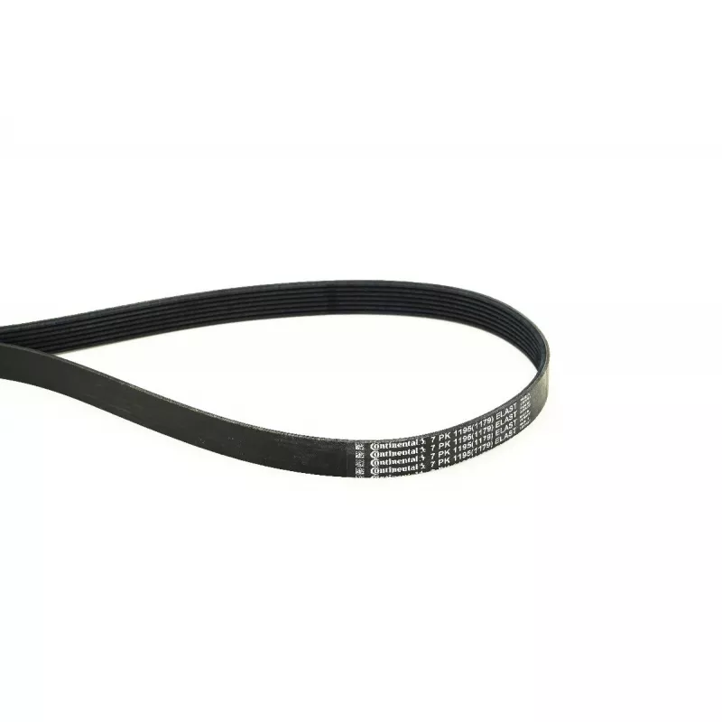 Courroie trapézoïdale à nervures CONTITECH 7PK1195 ELAST