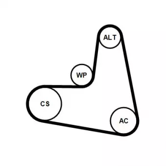 Jeu de courroies trapézoïdales à nervures CONTITECH 7PK1195 ELAST K1