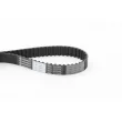 Courroie crantée CONTITECH CT1070 - Visuel 1