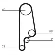 Courroie crantée CONTITECH CT1070 - Visuel 2