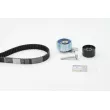 Kit de distribution CONTITECH CT1076K1 - Visuel 1