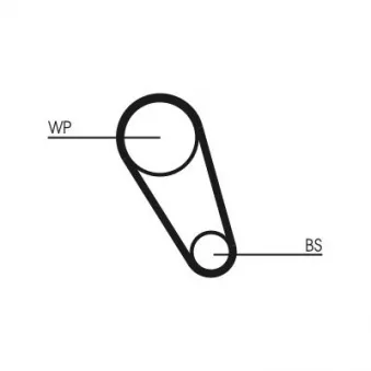 Pompe à eau + kit de courroie crantée CONTITECH CT1185WP6