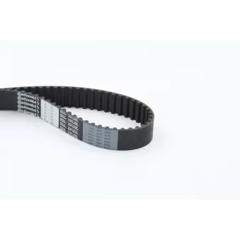 Courroie crantée CONTITECH CT954