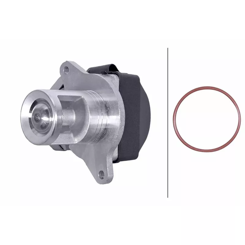 Vanne EGR HELLA 6NU 014 862-091