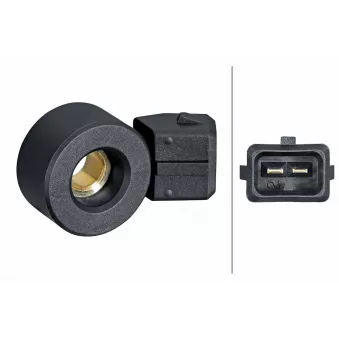 Capteur de cognement HELLA