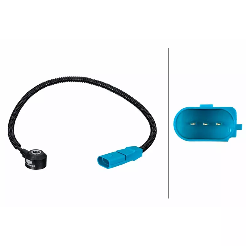 Capteur de cognement HELLA 6PG 013 114-631