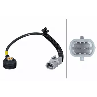 Capteur de cognement HELLA