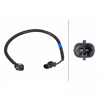 Capteur de cognement HELLA