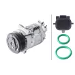 Compresseur, climatisation HELLA 8FK 366 201-921 - Visuel 1