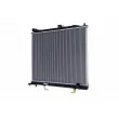 Radiateur, refroidissement du moteur HELLA 8MK 366 300-121 - Visuel 1