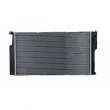 Radiateur, refroidissement du moteur HELLA 8MK 366 300-241 - Visuel 3