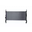 Radiateur, refroidissement du moteur HELLA 8MK 366 300-311 - Visuel 3