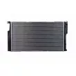 Radiateur, refroidissement du moteur HELLA 8MK 366 301-001 - Visuel 3