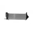 Intercooler, échangeur HELLA 8ML 366 340-461 - Visuel 2