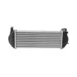 Intercooler, échangeur HELLA 8ML 366 340-461 - Visuel 3
